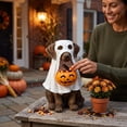 thumbnail image 6 of Halloween Ghost Dog Statue, Resin Sitting Dog Figurine with Ghost Costume and Pumpkin Candy Bucket, Trick Bowl Decor for Indoor Outdoor Yard Porch Home Party, 6 of 9