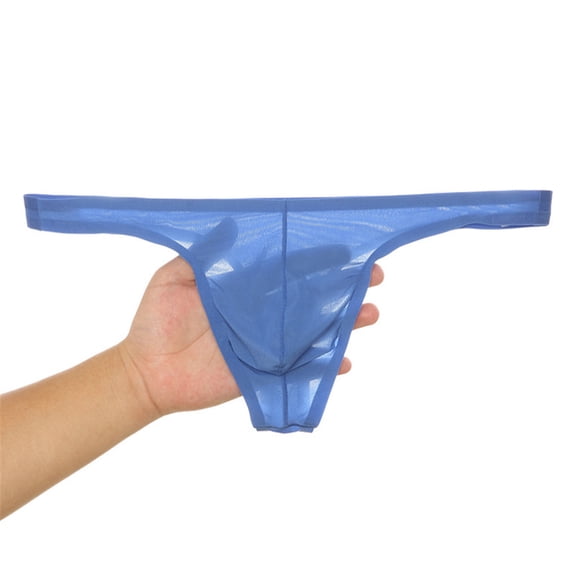 Mens Sexy Underwear Briefs Low Rise Thong G-String Briefs Cotton Underpant Bikini Swimwear Underwear Swimsuit (X-Large, Blue)