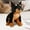 Doberman Pinscher, variant on Vaveren Animal Toy Dog Statue Holiday Gift Sleeping Cuddly Pillow Simulation Puppy Pug