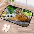 thumbnail image 5 of Floor Door Mats Bath Rugs Siberian Tiger , Entry Rug Non-Slip Washable Indoor Door Mat, Small Oriental Accent Throw Rug for Bedroom Kitchen Entryway Bathroom 31x20in Carpet Runner, 5 of 7
