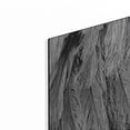 thumbnail image 2 of Luxe Metal Art 'Silver Feathers' by Lori Deiter, Metal Wall Art, 48"x24", 2 of 9