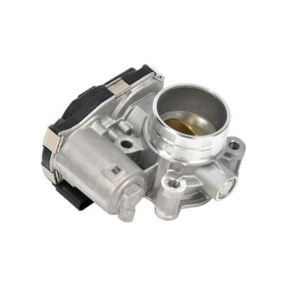 Fuel Injection Throttle Body