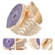 thumbnail image 3 of GOOHOCHY 1pc cristal chapado en oro anillo irregular de piedra áspero de la mano de la mano para las mujeres, 3 of 7