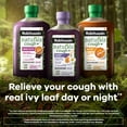 Robitussin Naturals Cough Plus Immune Health Gummies Dietary Supplement