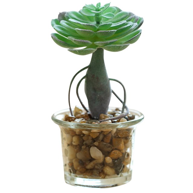 Coofit Artificial Succulent Plant Mini - Faux Potted Succulent Home Desktop Decoration