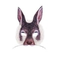 thumbnail image 2 of Máscara de animales de Pascua Zulema 25cmx15cm, 2 of 8