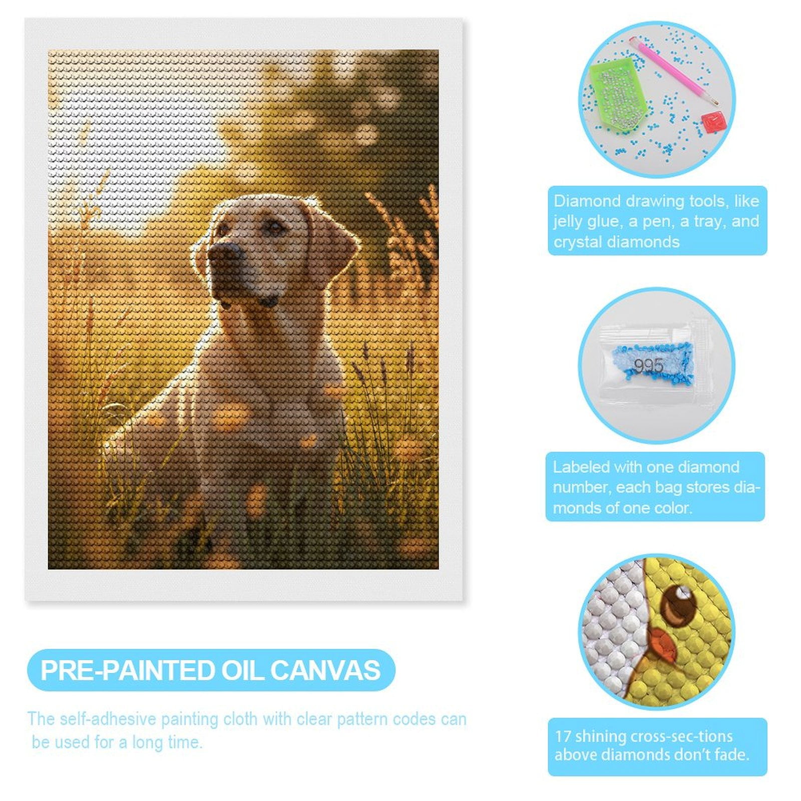 Diamond Art Kits for Adults, Golden Retriever In Sunlit Field 5D Diamond Painting Kits for Adults Beginners, DIY Full Drill Diamond Painting, Gem Art and Crafts 12x16