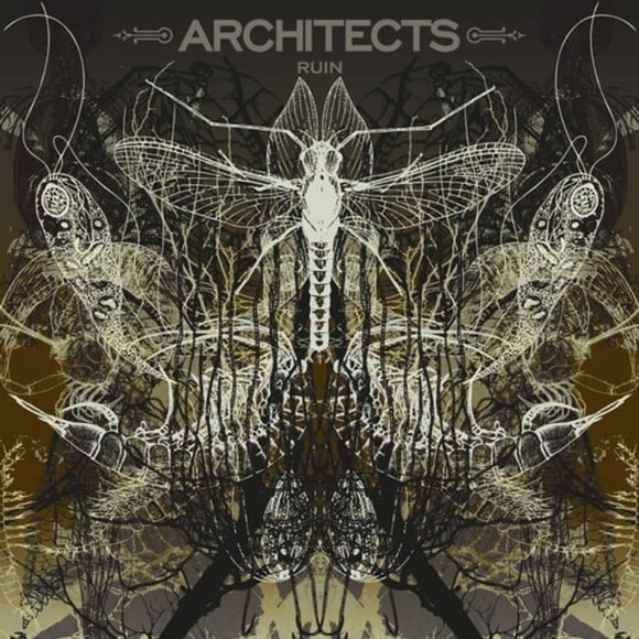 Architectes - Ruine - (Édition Limitée, Disque Photo ) - [Vinyle]