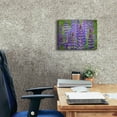 thumbnail image 5 of Epic Graffiti 'Blue Lupine Flowers' by Cora Niele, Canvas Wall Art, 16"x12", 5 of 8
