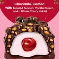 thumbnail image 3 of Adams & Brooks, Inc. Chocolate Candy Big Cherry (pack of 6), 3 of 7
