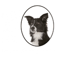 thumbnail image 3 of CafePress - Border Collie Dad T Shirt - Men's Classic Cotton T-Shirts, 3 of 3