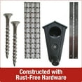 View all media