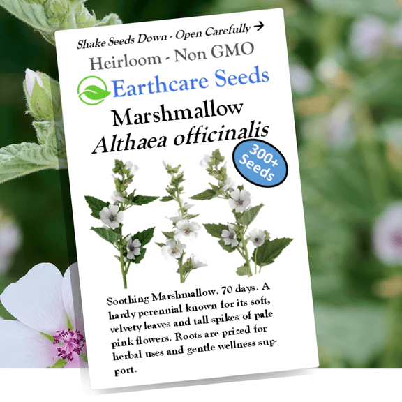 Earthcare Seeds - Marshmallow 300 Seeds (Althaea officinalis) Heirloom - Open Pollinated - NonGMO