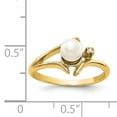 thumbnail image 5 of 14k FW Cultured Pearl Diamond FW Cultured Pearl ring Y1946PL/AA, 5 of 5
