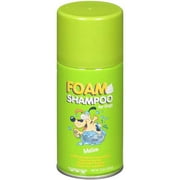 Foam Shampoo: Melon Foam Shampoo For Dogs, 11 oz