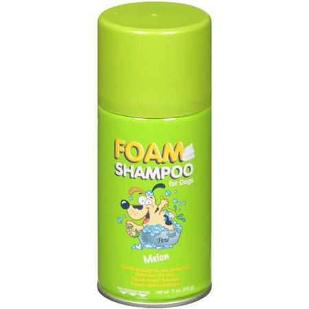 Foam Shampoo: Melon Foam Shampoo For Dogs, 11 oz