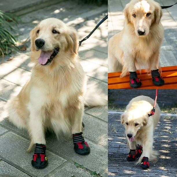 Dog sale booties walmart