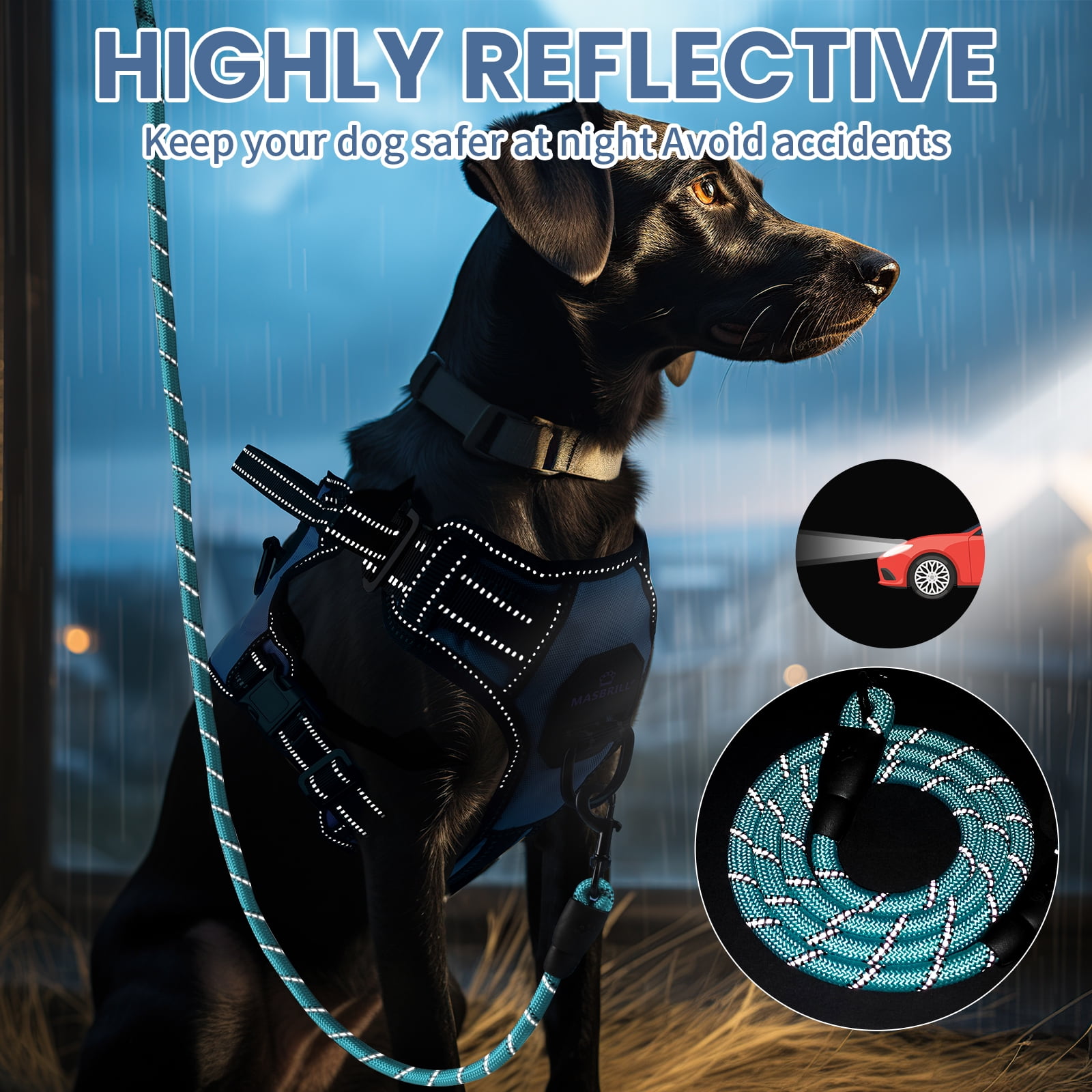 MASBRILL Dog Harness and Leash Set, No Pull Vest Harness, Reflective Adjustable Soft Padded Pet Harness with Handle for Small to Large Dogs