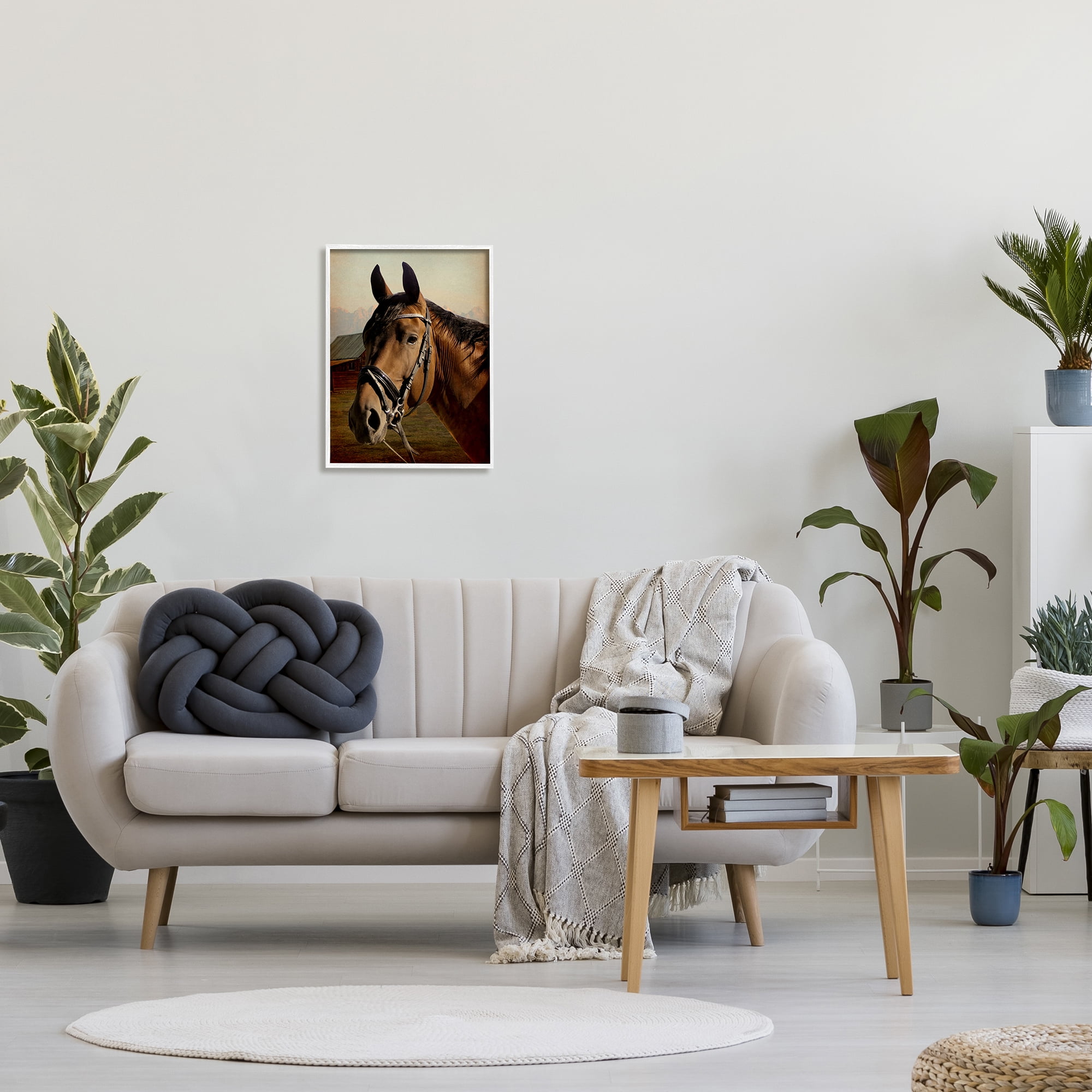 Stupell Industries Brown Horse Portrait Animals & Insects Photography White Framed Art Print Wall Art, 16 x 20