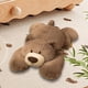 thumbnail image 1 of Oso de peluche CUTICAT realista Marrón 55cm suave para niños y decoración, 1 of 8