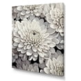thumbnail image 2 of Designart "Ethereal Whiteness: Magical White Chrysanthemums II" Chrysanthemums Canvas Art Print, 2 of 7