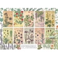 thumbnail image 2 of Botanicals by Verneuil 1000-Piece Puzzle, 2 of 2