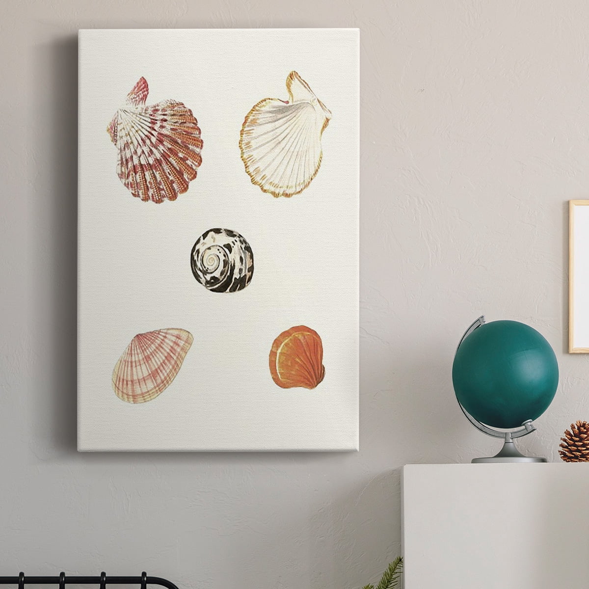 Pastel Knorr Shells VIII Premium Gallery Wrapped Canvas - Ready to Hang