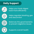 thumbnail image 4 of Sanar Naturals Probiotic 60 Billion CFU, with Prebiotic - Supports Immune, Digestive, & Gut Health - Probiotics for Women and Men - Vegan, Non-GMO, Gluten Free, 120 CT, 4 of 6