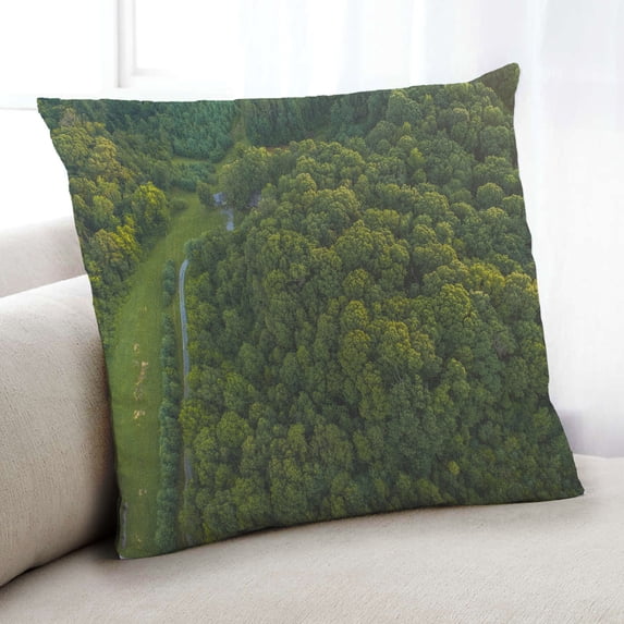 Ahgly Company State Tennessee Indoor Throw Pillow, 18 inch by 18 inch