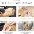 thumbnail image 4 of Pet Grooming Scissors, Stainless Steel Rounded Tip Trimming Shears for Dogs and Cats, 4 of 10