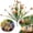 C, variant on Z52LingLing Decoration Artificial Forget Me Not Flowers Plastic Faux Wildflower Bouquet Shrub Purple