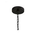 thumbnail image 6 of 21.5 Inch 1 Light Pendant In Urban/Industrial Style 12 High By 21.5 Wide-Dark Pewter Finish    -Traditional Installation Capital Lighting 333813Pw-473, 6 of 10