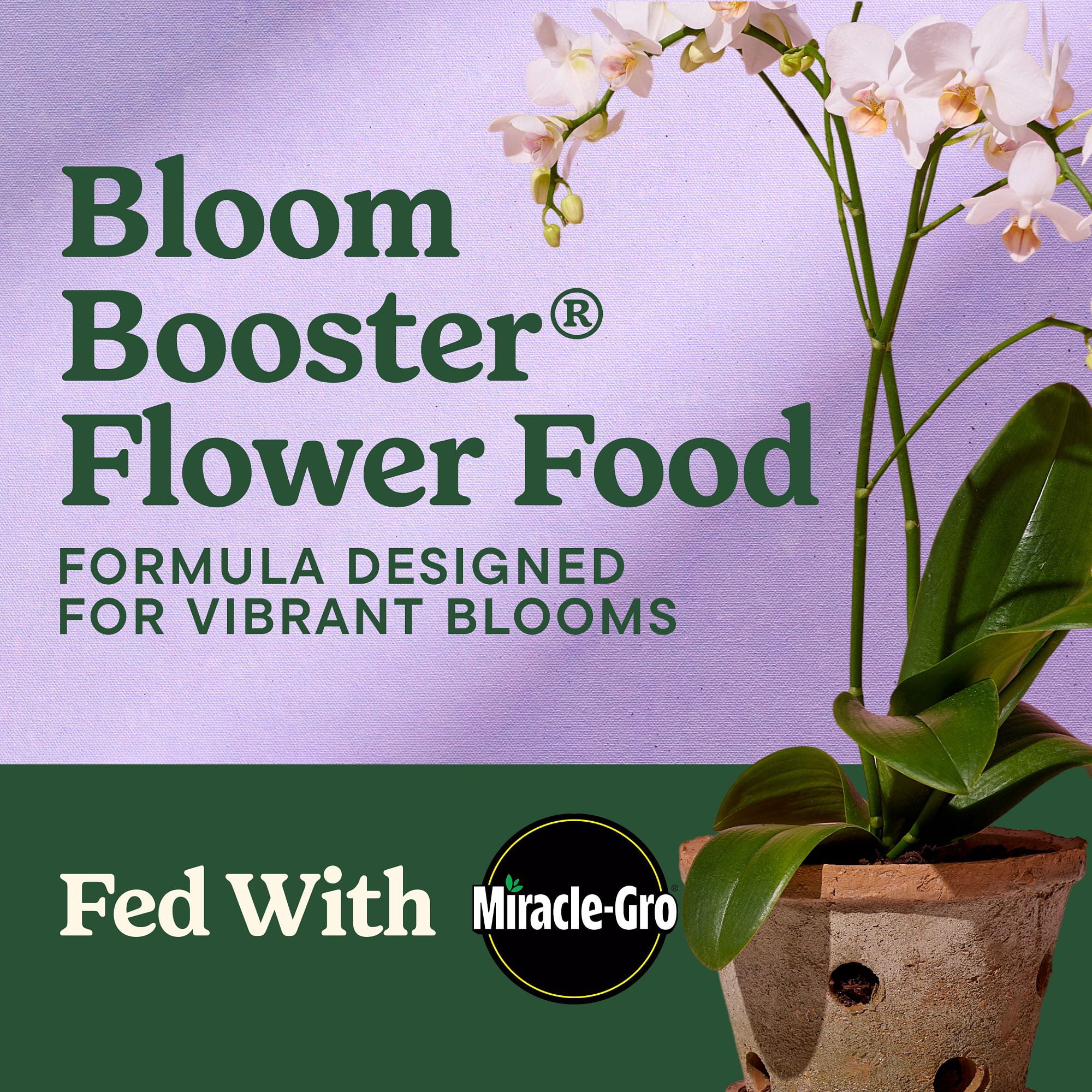 Miracle-Gro Liquafeed Bloom Booster Flower Food 2-Pack Refills