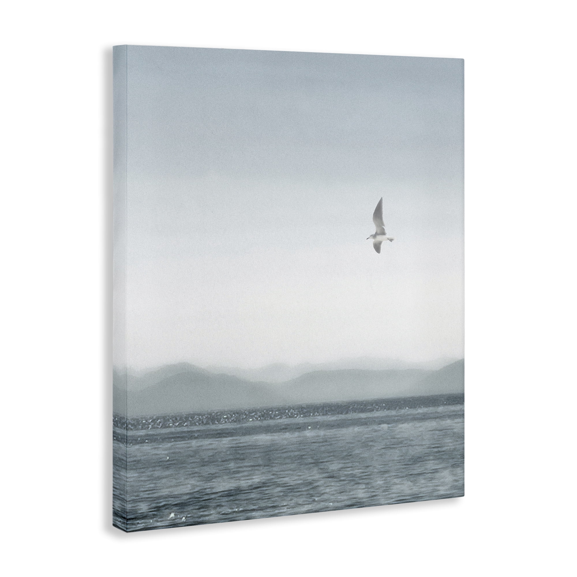 Stupell Industries Lone Gull over Sea Coastal Painting Gallery Wrapped Canvas Art Print Wall Art, 30 x 40