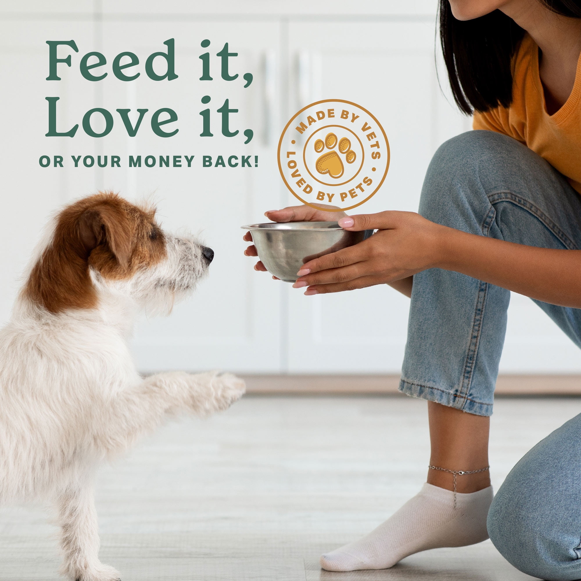 The Missing Link Superfood Powders Hips & Joints Dog Supplement 1 lb Bag