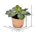 thumbnail image 2 of Vickerman FE192510 9 Po. Succulente en Pot Vert, 2 of 2