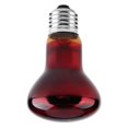 thumbnail image 1 of Durable Infrared Heat Bulb for Reptiles and Pets (25W), 1 of 3