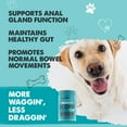 thumbnail image 3 of Mighty Paw Waggables Mighty Scoot - Dog Digestive & Anal Gland Support Chews - Pumpkin Fiber Supplements (120 Count), 3 of 8