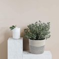 thumbnail image 3 of Paquete De 2 Cestas Colgantes Cesta De Pared, Pequeñas Cestas De Almacenamiento Tejidas Almacenamiento Colgante De Cuerda, Cestas Decorativas Organizador para Plantas Dormitorio Oficina Blan, 3 of 5