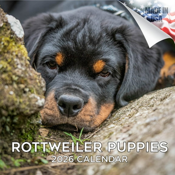 2025 2026 Rottweiler Puppies Calendar - Dog Breed Monthly Wall Calendar - 12 x 24 Open - Thick No-Bleed Paper - Giftable - Academic Teacher's Planner Calendar Organizing & Planning - Made in USA