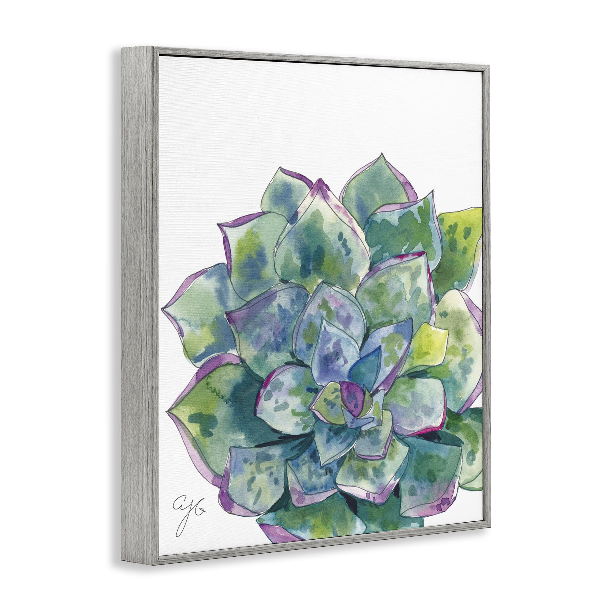 Stupell Industries Abstract Succulent Watercolor Botanical & Floral Painting Gray Framed Art Print Wall Art, 16 x 20