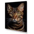 thumbnail image 2 of Designart "Toyger Feline Tigress Image" Animals Cat Wall Decor, 2 of 7