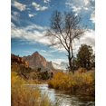 thumbnail image 2 of Collins, Ann 26x32 Gold Ornate Wood Framed with Double Matting Museum Art Print Titled - Utah-Zion National Park-Virgin River and The Watchman near sunset, 2 of 4