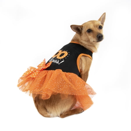 Way To Celebrate Dog Dress, Black Fa-BOO-Lous, (XXS)