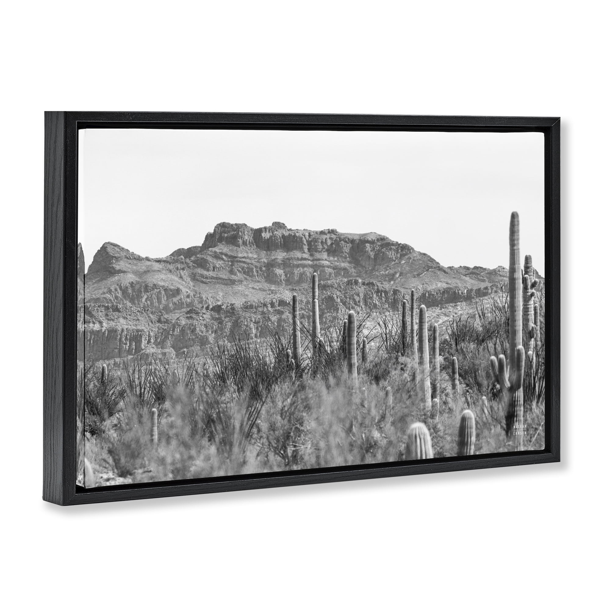 Stupell Industries American Borderlands Desertscape Landscape & Nature Photography Black Floater Framed Canvas Art Print Wall Art, 25 x 17