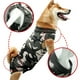 thumbnail image 3 of Traje postoperatorio para perros, traje de esterilización/castración transpirable de alta elasticidad para perros después de la cirugía, 1 Uds., 3 of 5