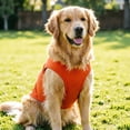 thumbnail image 2 of Sleeveless Dog Tank Top Summer Breathable Plain Pet Vest Machine Washable Soft Cotton Puppy T-Shirt for Small Medium Dogs Cats Indoor Outdoor Daily Wear, 2 of 7