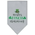 thumbnail image 4 of Pet and Dog Bandana Screen Printed, "Mr. Pinch Charming", 4 of 5