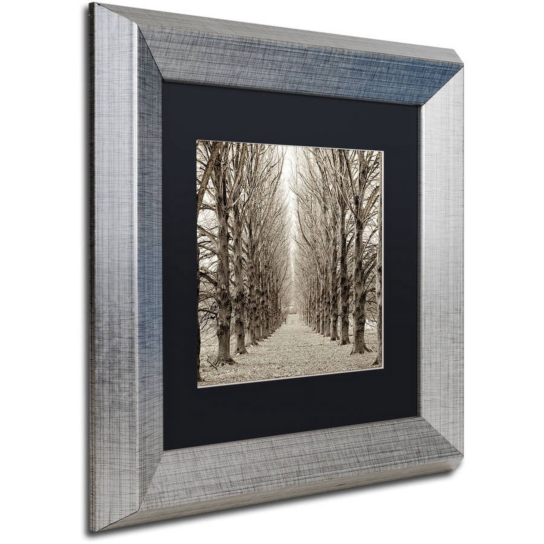 Trademark Fine Art "Hampton Gates Promenade III" Canvas Art by Alan Blaustein, Black Matte, Silver Frame
