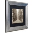 thumbnail image 2 of Trademark Fine Art "Hampton Gates Promenade III" Canvas Art by Alan Blaustein, Black Matte, Silver Frame, 2 of 4